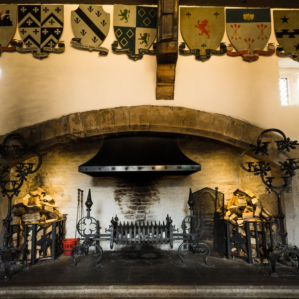 Great Hall Fireplace
