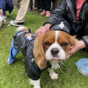 Samlesbury Hall's 10th Annual Fun Dog Show